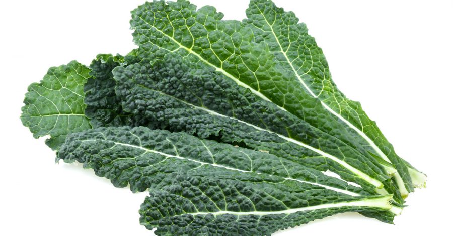 Cavolo Nero