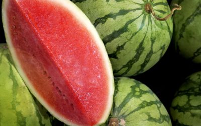 Cocomeri