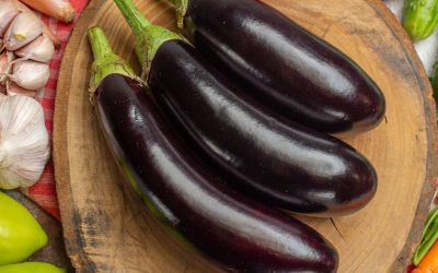 Melanzane Lunghe