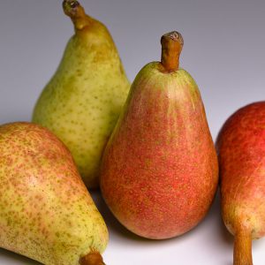 Pere Angelica
