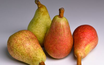 Pere Angelica