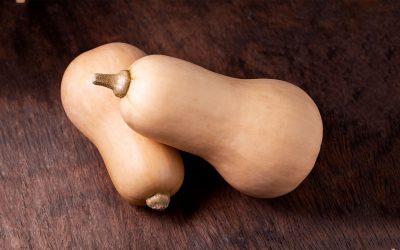 Zucca Butternut
